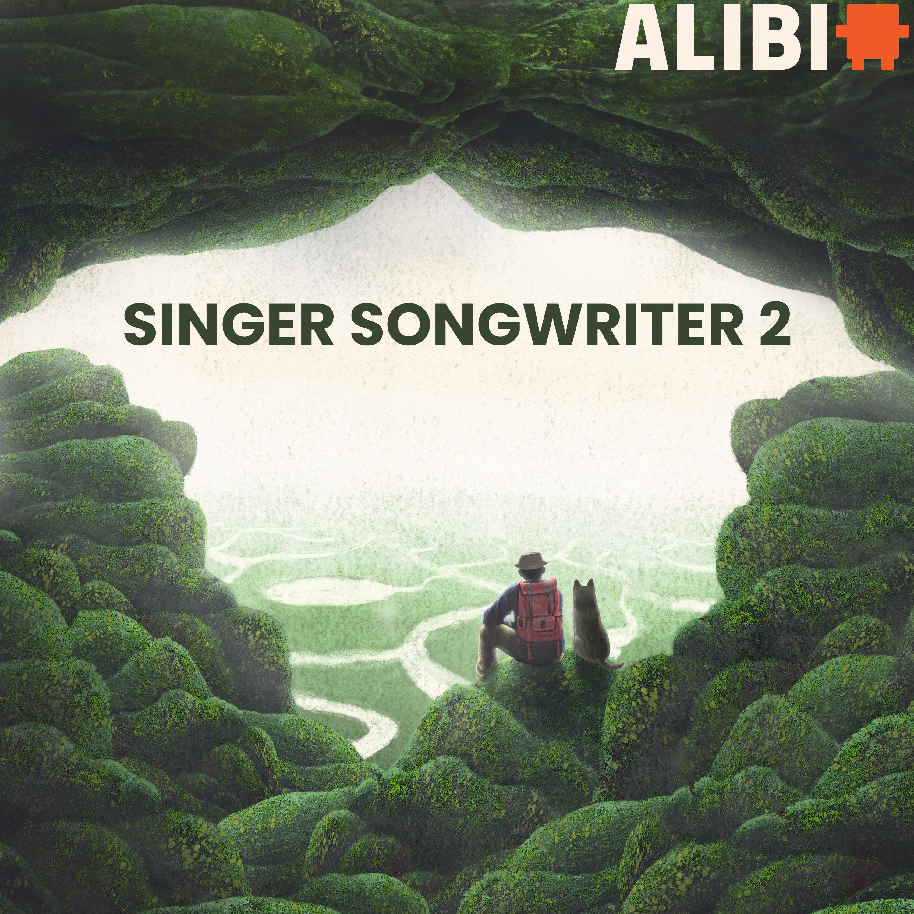 Singer Songwriter, Vol. 2