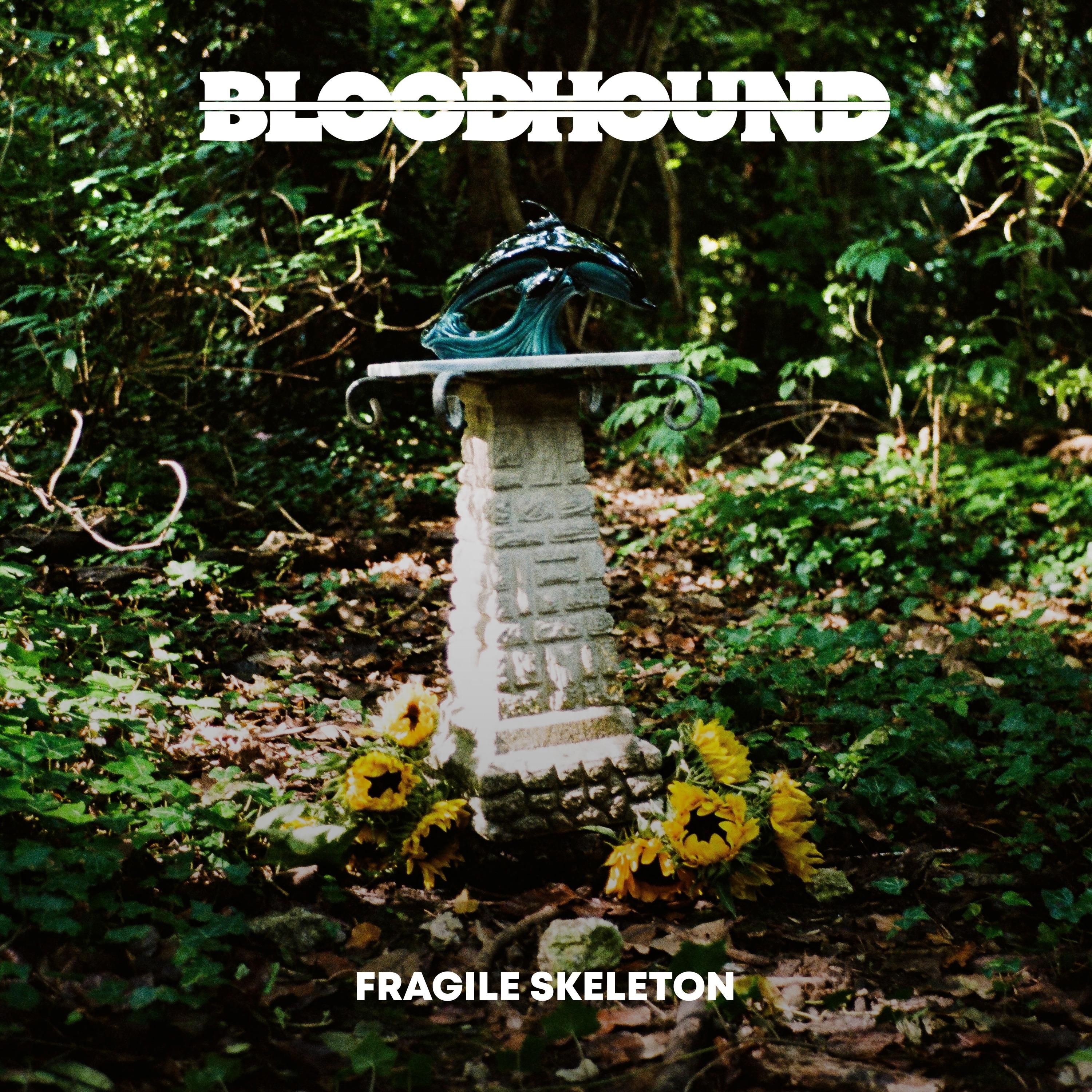 Fragile Skeleton