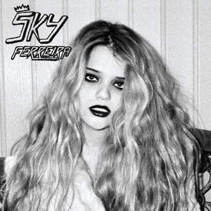 Sky Ferreira - Heavy Metal Heart (Official Instrumental) 原版无和声伴奏 （降1半音）