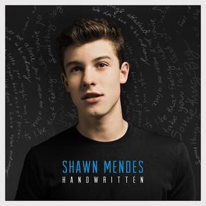 Shawn Mendes - I Don't Even Know Your Name (Official Instrumental) 原版无和声伴奏