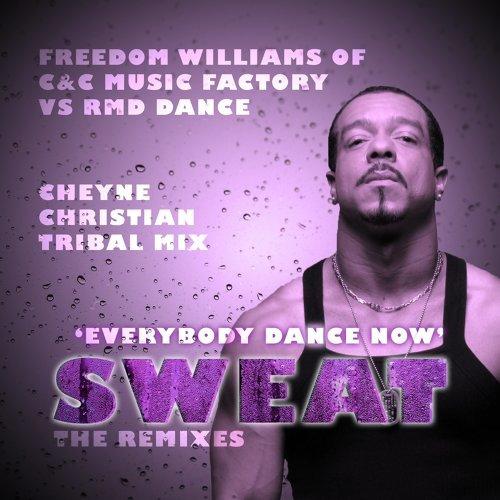 Sweat The Remixes Everybody Dance Now
