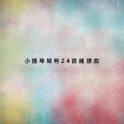 小提琴顿特24首随想曲教程(二)