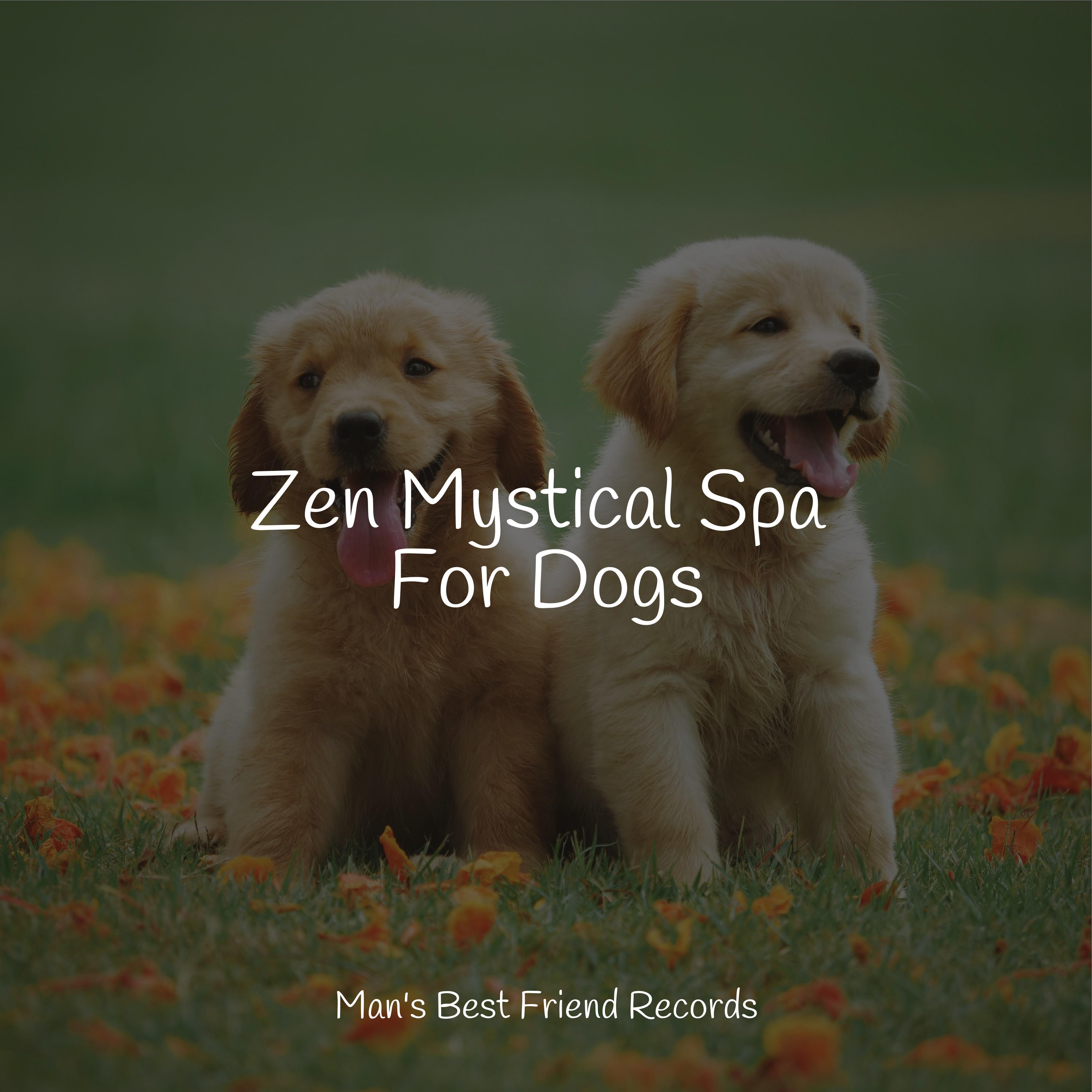 Jazz Music Therapy for Dogs - Lazy Morning