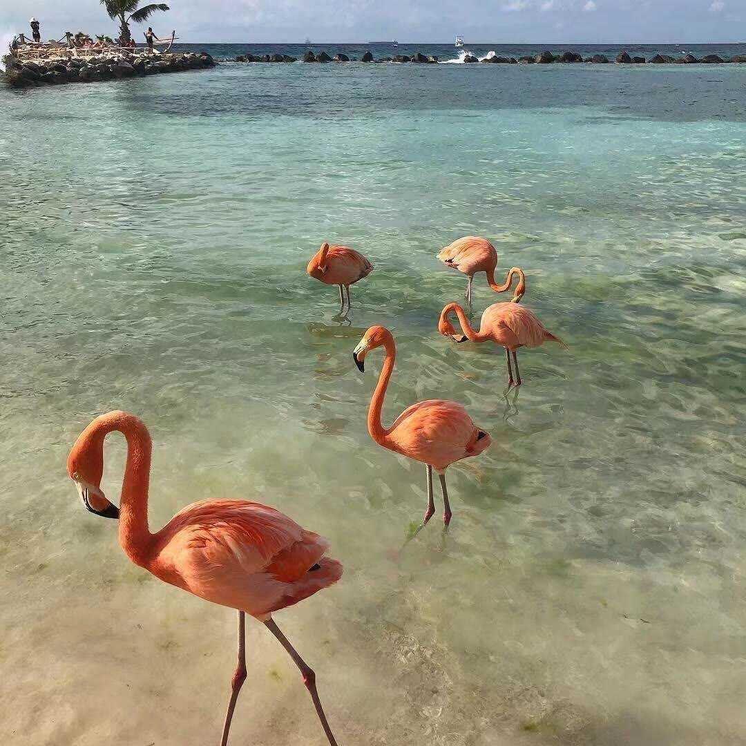 Jawish 685 & Jason Derulo-Savage Love (Beauz Mix)（VaSka / CaSsie / 政通 / 品味 remix）