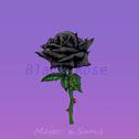 Black Rose专辑