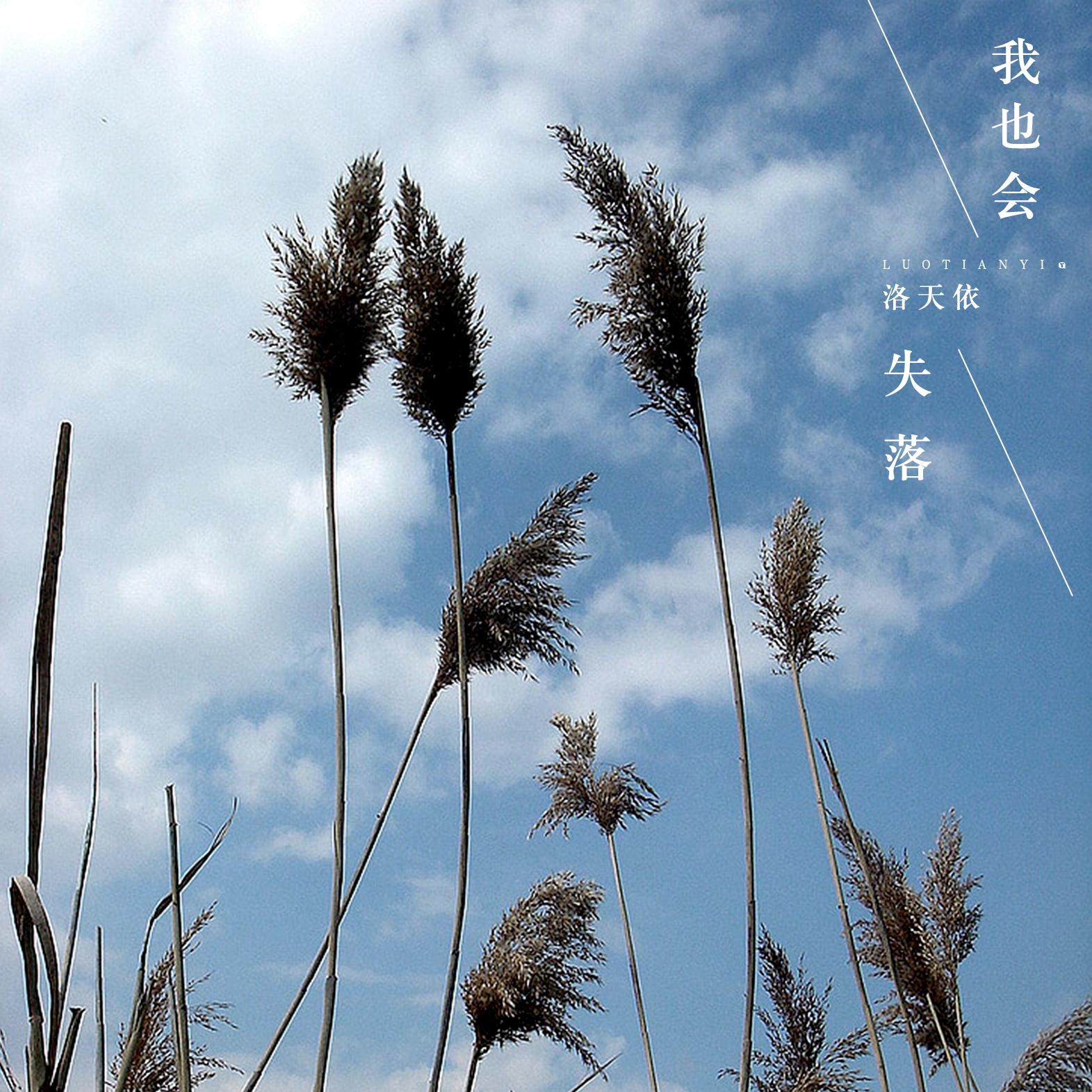 我也会失落