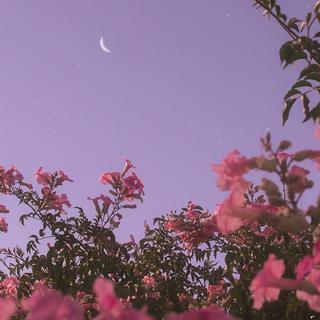 宝藏世界