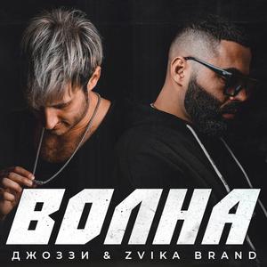 【EDM Bootleg】 Zvika Brand （降6半音）