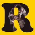 IF you(Rabbitdog Rmix)