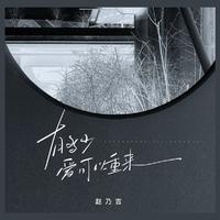 赵乃吉 - 有多少爱可以重来 (带伴唱) 伴奏