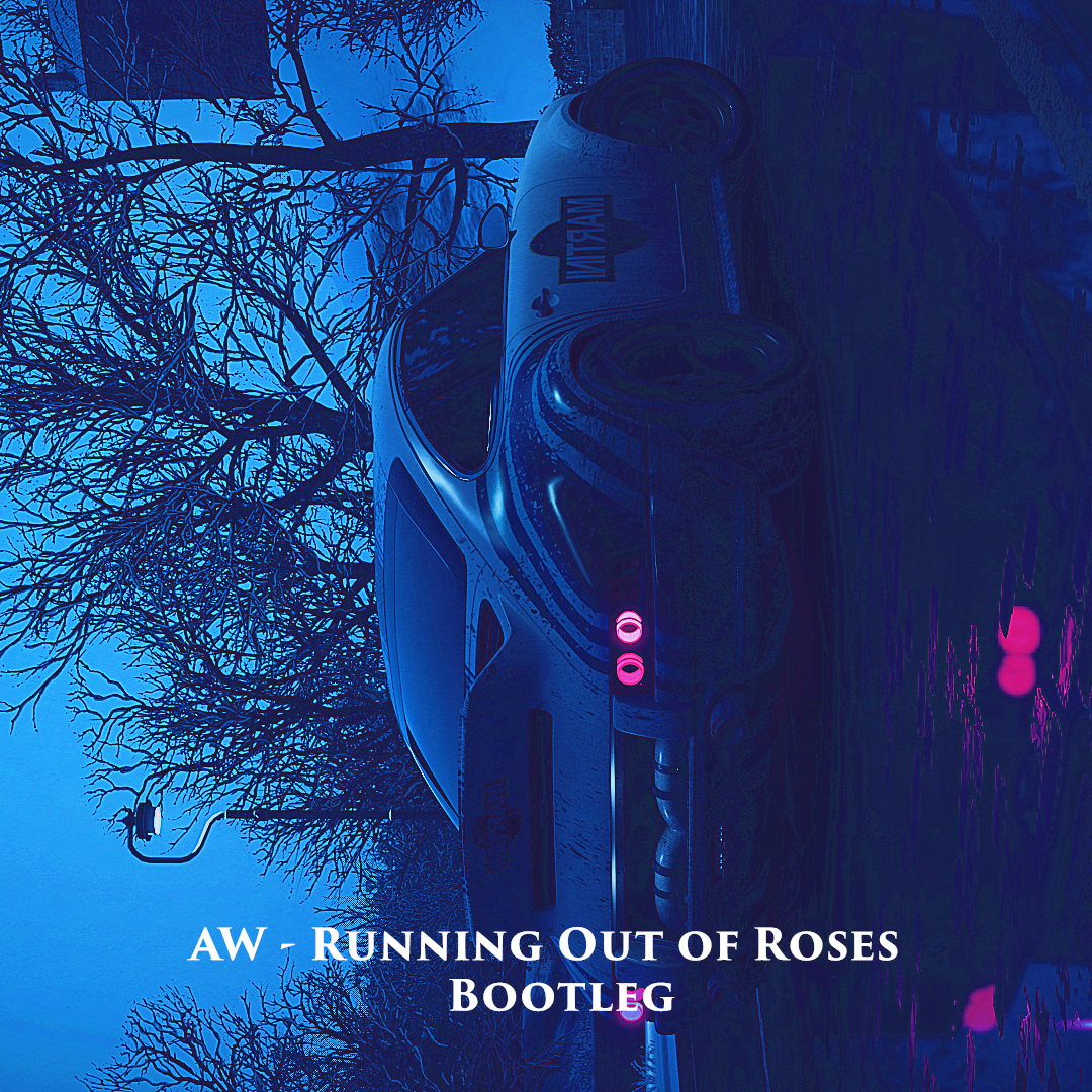 Running Out of Roses REMIX