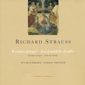 Robert Strauss: Kramerspiegel (Der) / Lieder (Schreier, Shetler)专辑