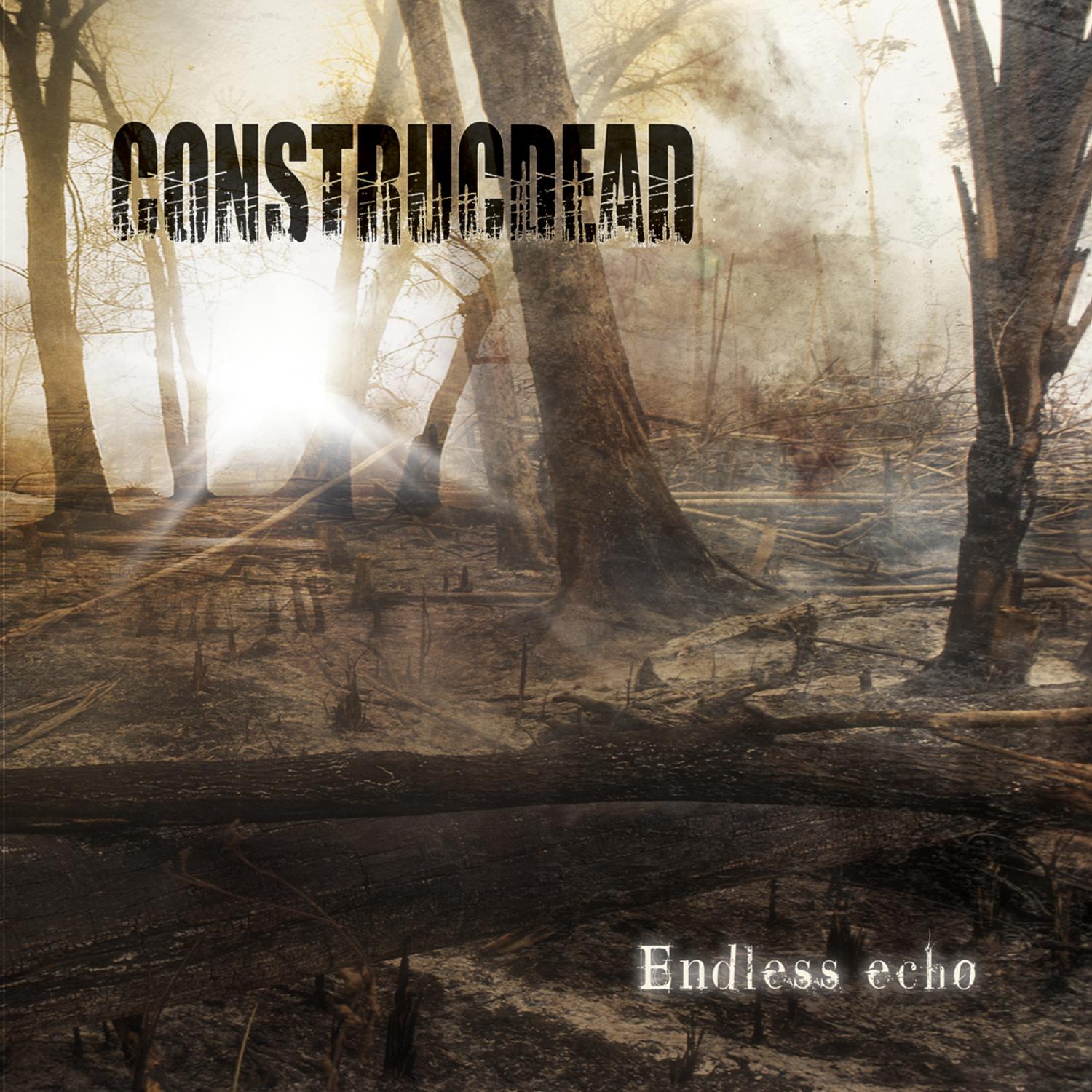 Endless Echo - Limited Edition