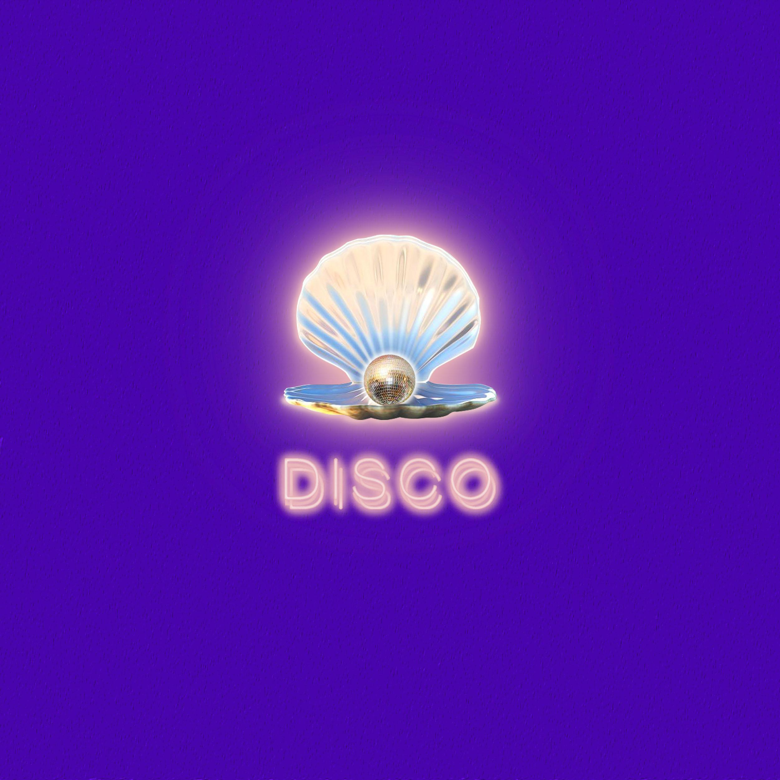 午夜情迷迪斯科