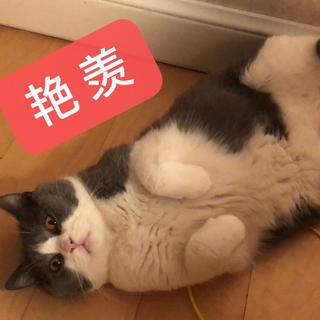 0703早高峰歌单