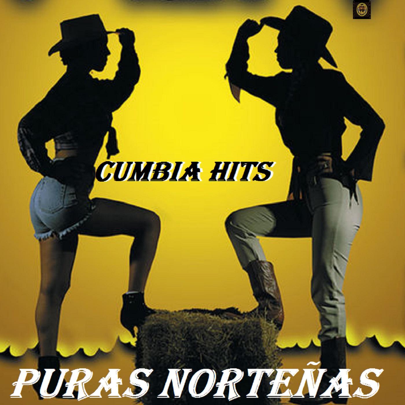 Puras Norteñas专辑