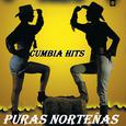 Puras Norteñas