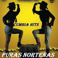 Puras Norteñas