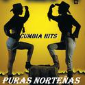 Puras Norteñas专辑