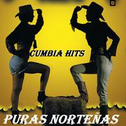 Puras Norteñas