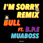 i'm sorry (Remix)