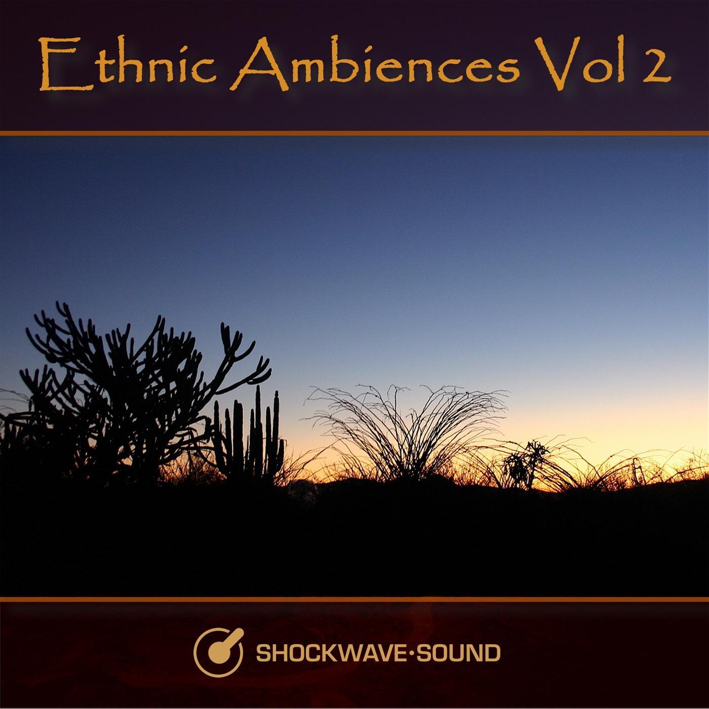 Ethnic Ambiences, Vol. 2