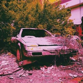 抖音来的看这里