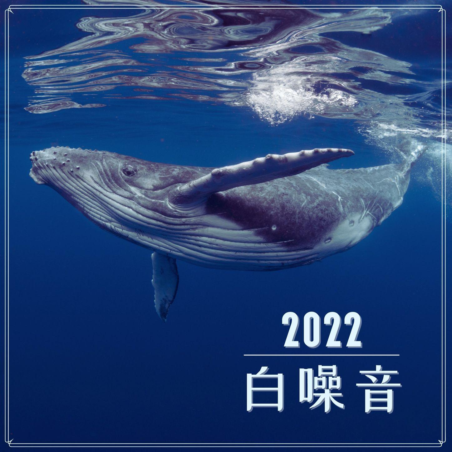 2022白噪音：最好听的新世纪音乐，自然声音、水声、壁炉声、心跳、鸟鸣、器乐歌曲