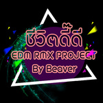 ชีวิตดี๊ดี (EDM RMX Project by Beaver)专辑