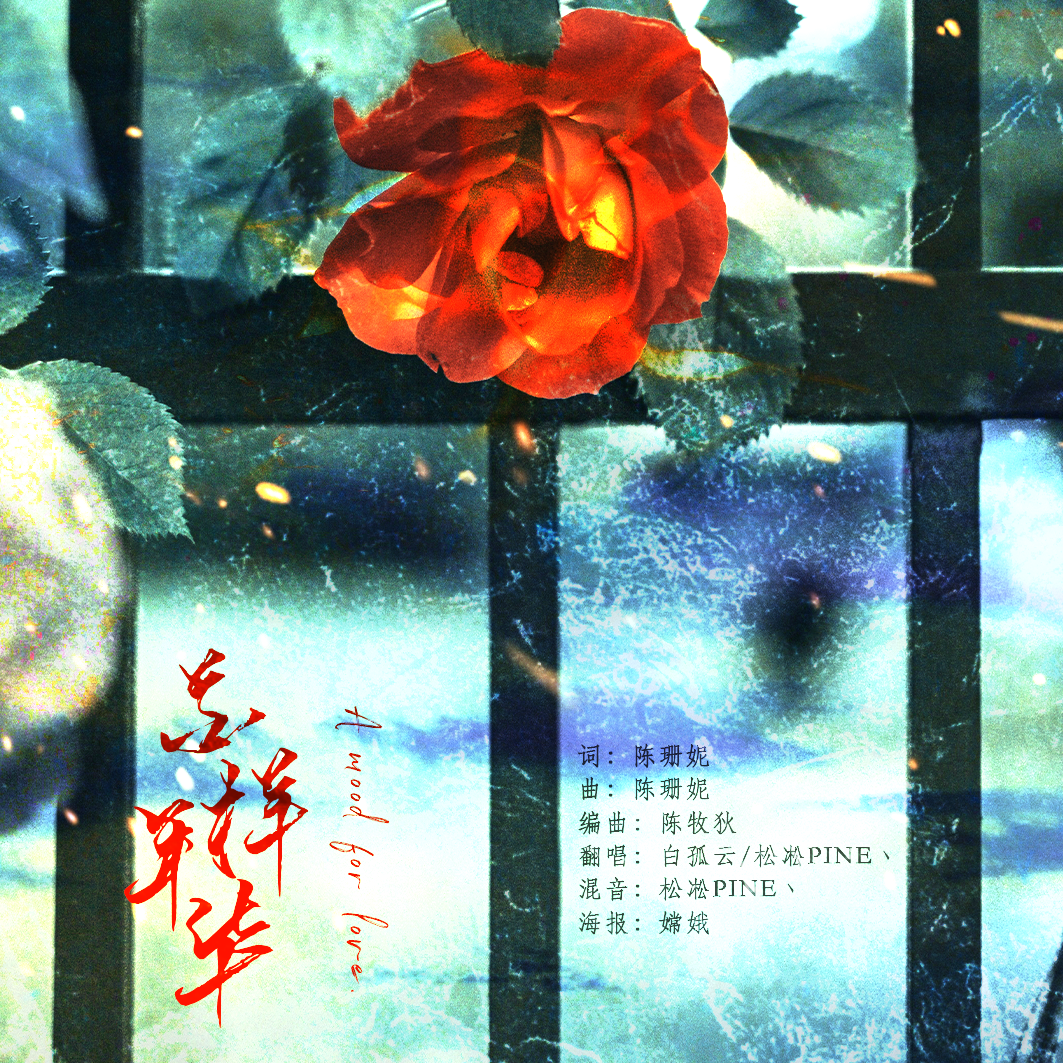 花样年华（翻自 王晰 娄艺潇）