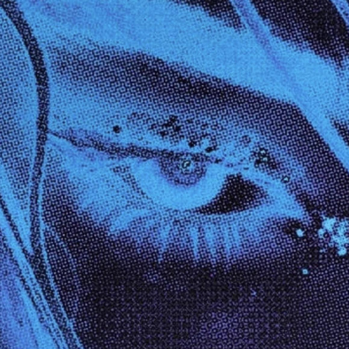 待宰的羔羊x-Золото（待宰的羔羊x remix）