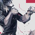 Shadows-wolf