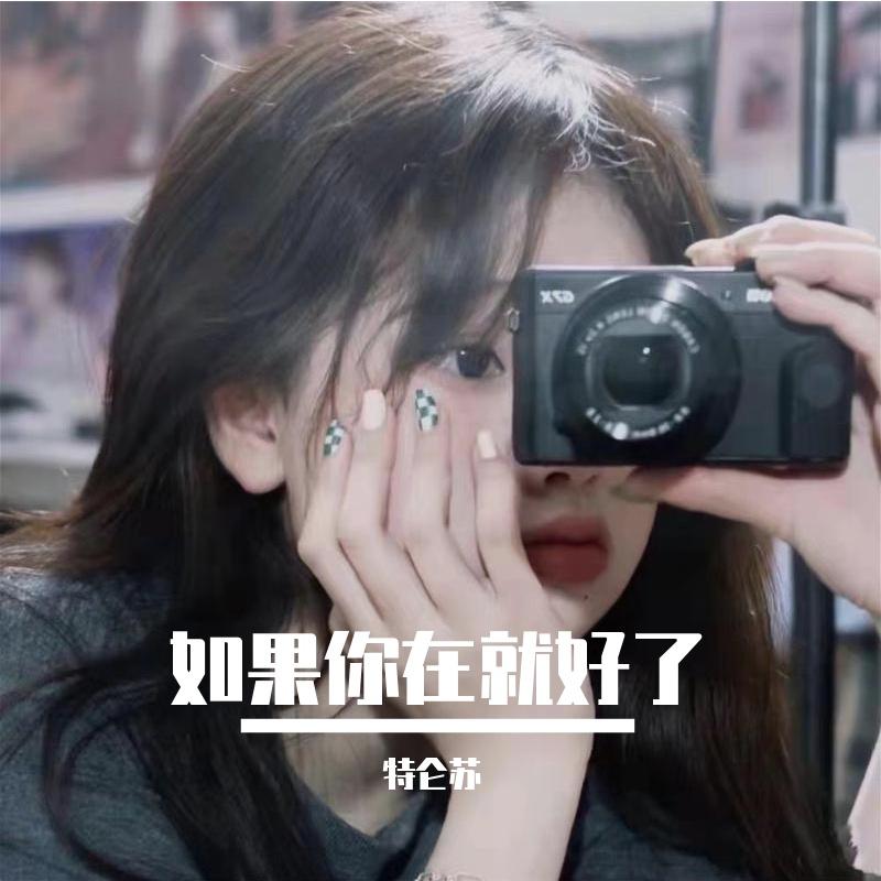 如果你在就好了