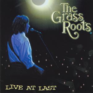 The Grass Roots - I'd Wait A Million Years (PT karaoke) 带和声伴奏