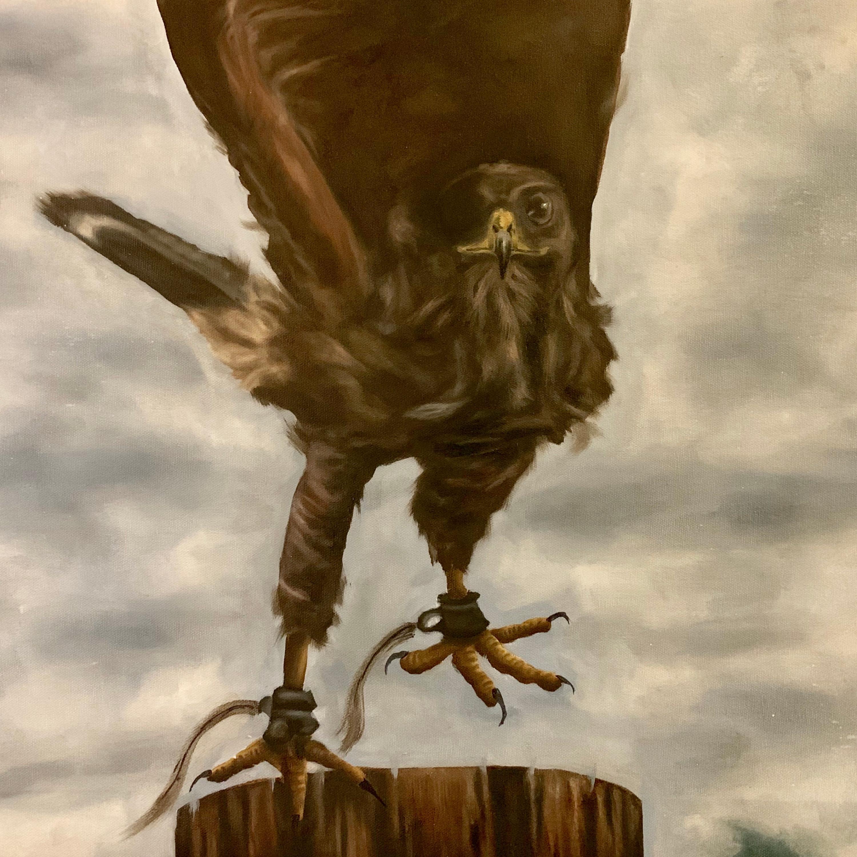 Soar