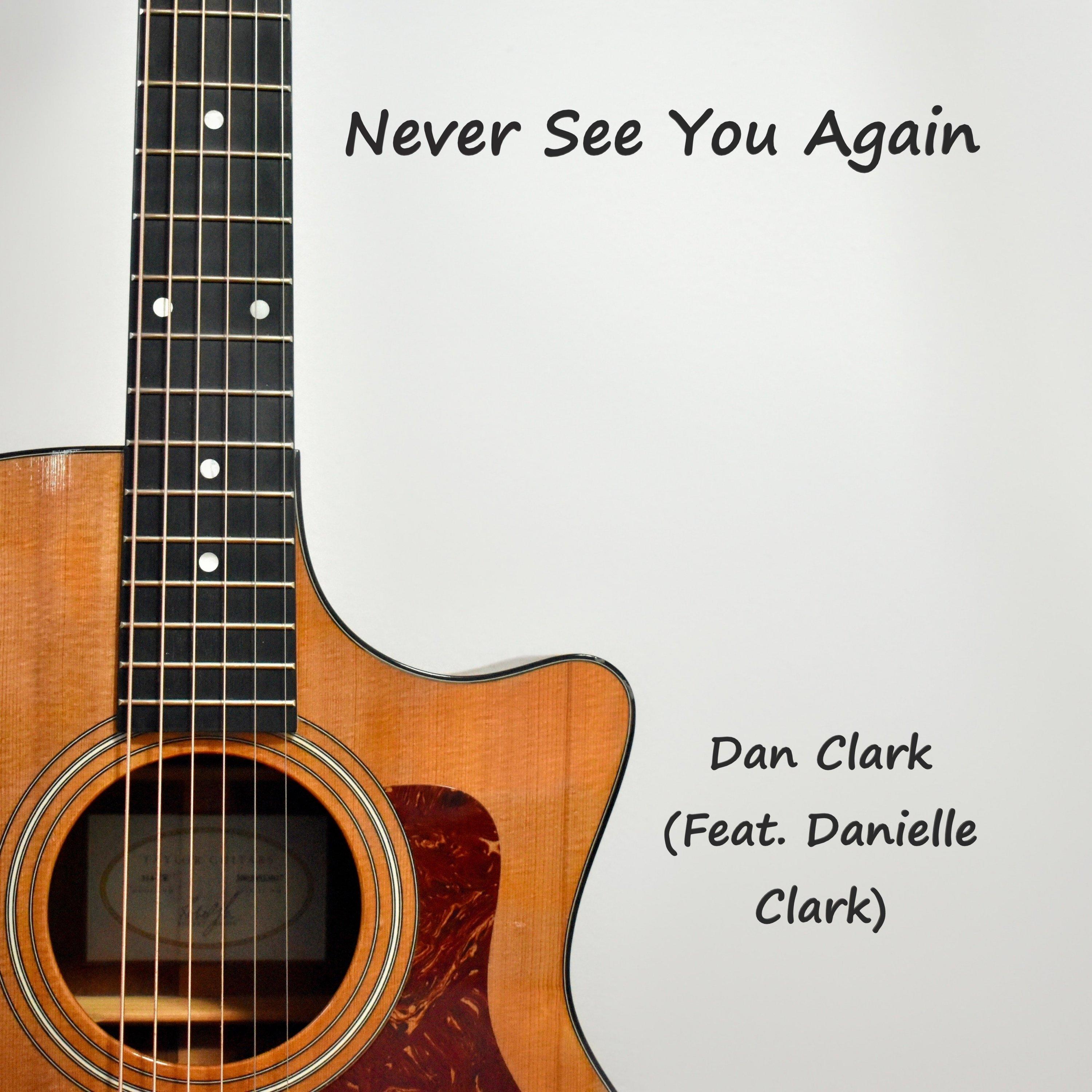 Never See You Again