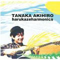 harukazeharmonics