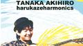 harukazeharmonics专辑