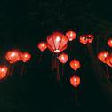 Lantern 灯笼专辑