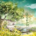 马兰开花专辑