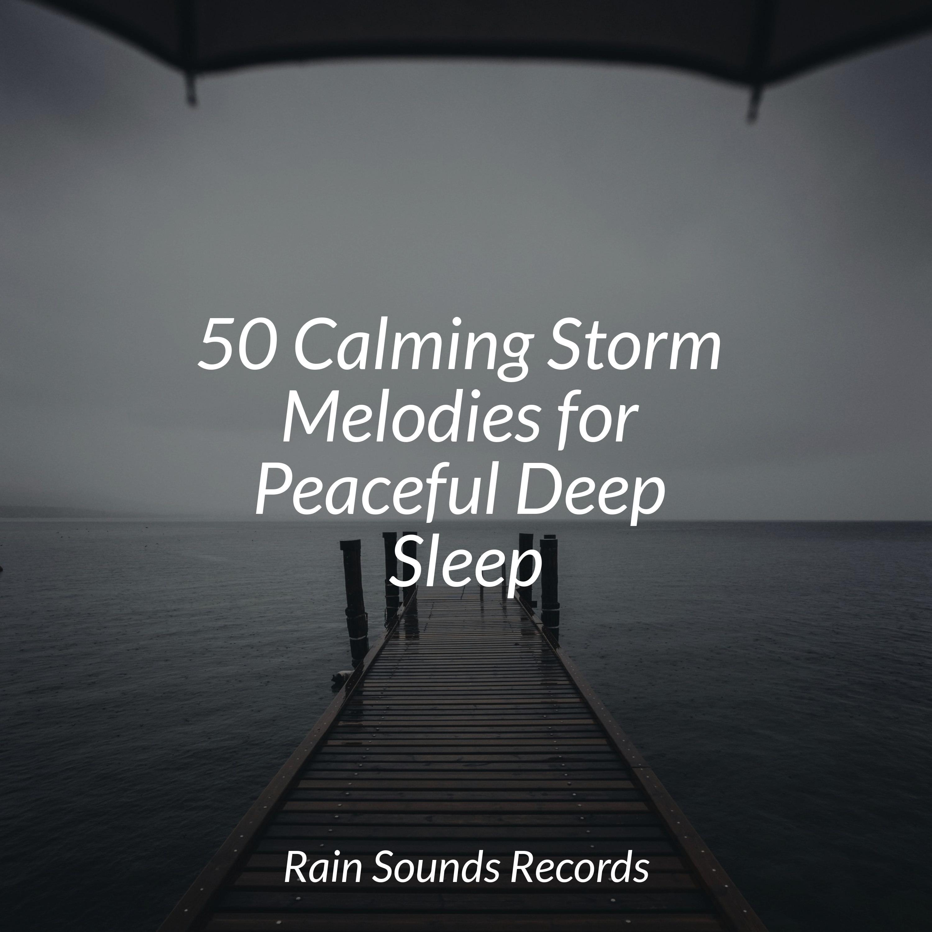 50 Calming Storm Melodies for Peaceful Deep Sleep