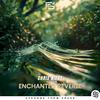 Chris Niers - Enchanted Reverie (Extended)