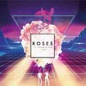 Roses (We Rabbitz Remix)专辑