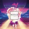 Roses (We Rabbitz Remix)专辑