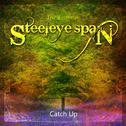 The Essential Steeleye Span: Catch Up专辑