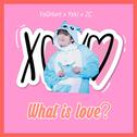 What is love？专辑