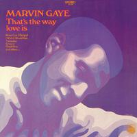 Marvin Gaye - That s The Way Love Is (karaoke)