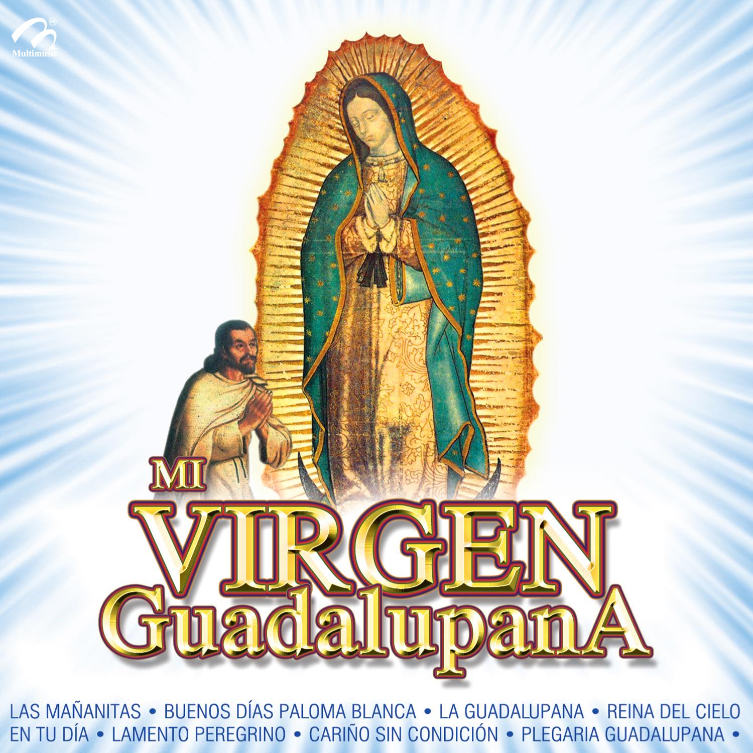Mi Virgen Guadalupana
