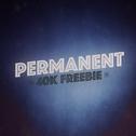 Permanent专辑