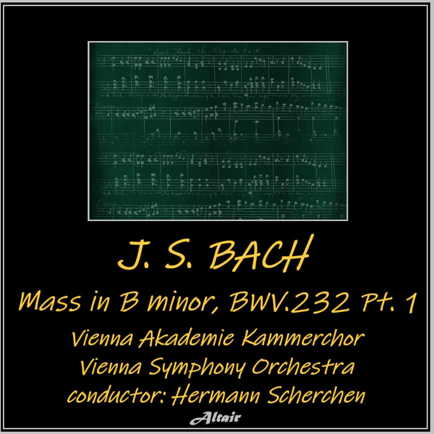 Vienna Symphony Orchestra - Mass in B-Minor, BWV 232: NO. 3. Kyrie eleison II